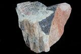 Polished Dinosaur Bone (Gembone) Section - Colorado #73007-2